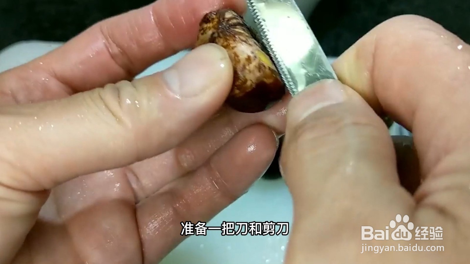 粟子怎么剥皮最简单