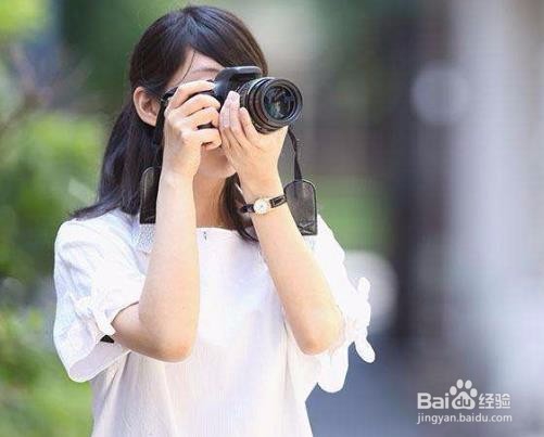 神农架的景区如何游玩