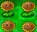 植物大战僵尸生存模式泳池第一轮