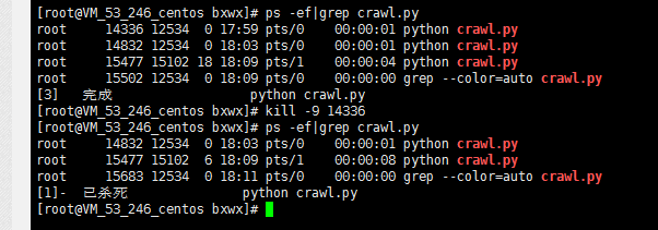linux终止执行命令