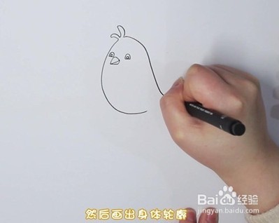 简笔画系列-怎么画黄鹂简笔画
