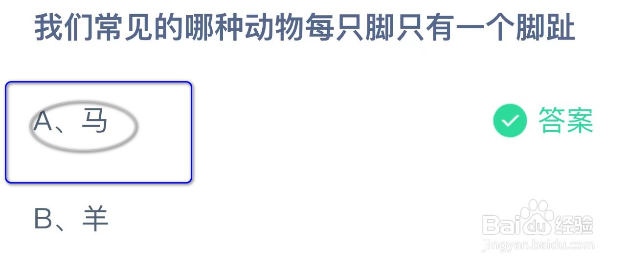 蚂蚁庄园常见的哪种动物每只脚只有一个脚趾