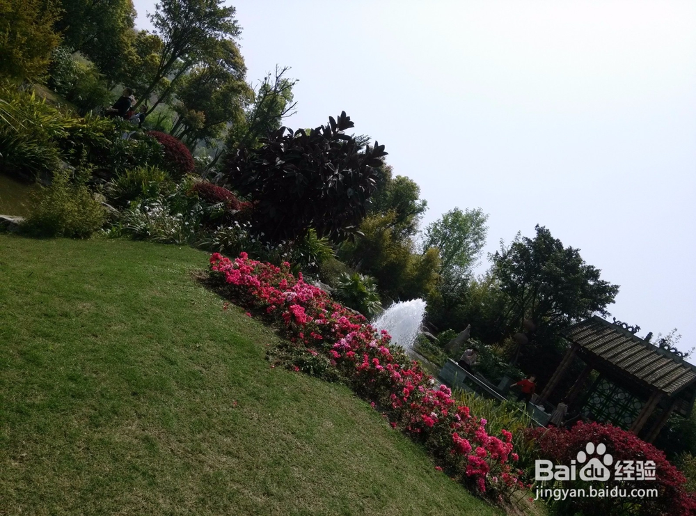 重庆——园博园之行