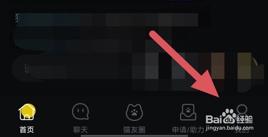 街猫如何查看个性化推荐管理