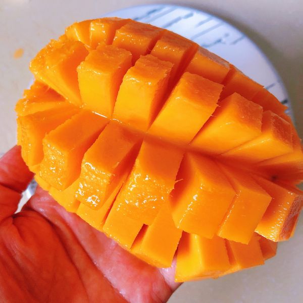 芒果手抓饼披萨