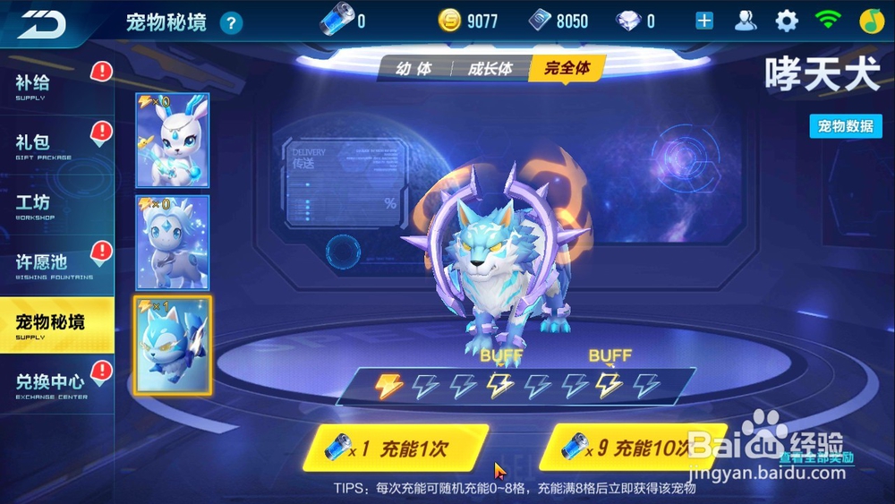 如何在qq飞车手游为宠物充能获得极品宠物