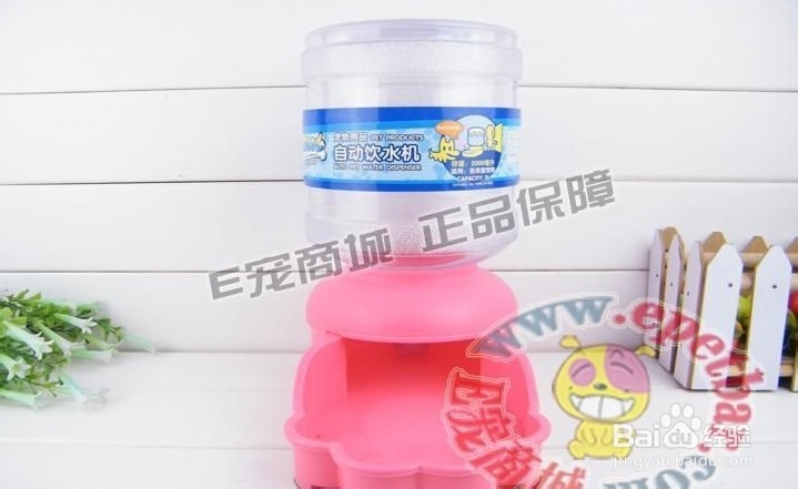 养狗需要准备什么