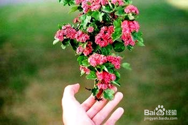 怎样搞好人际关系？