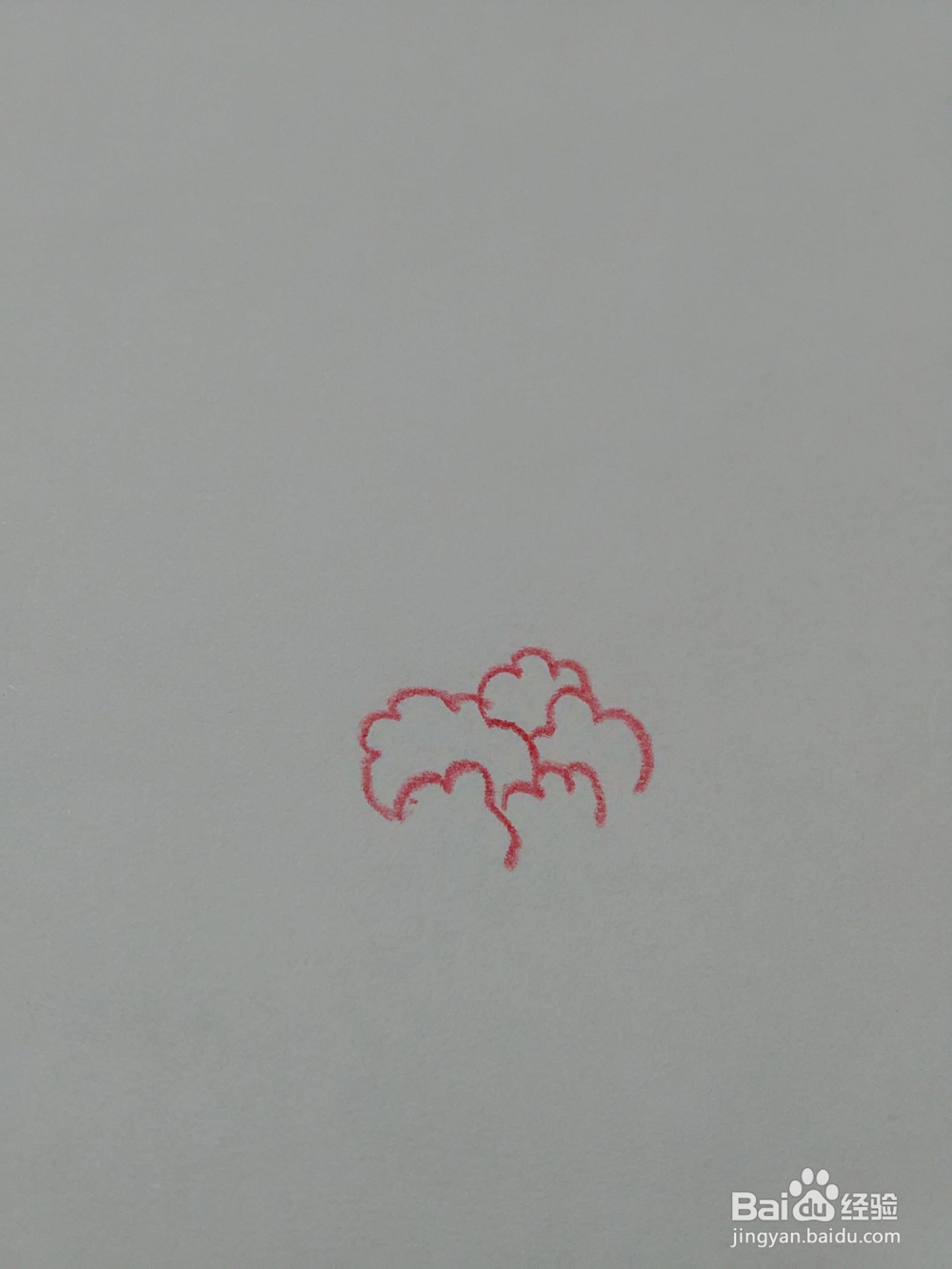 怎么能画好牡丹