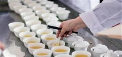 乌龙茶常见的一些审评术语