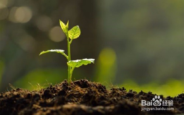 土壤监监控系统开发方案