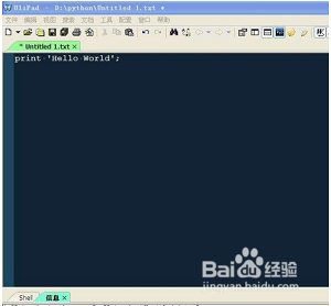 python编程初学者指南