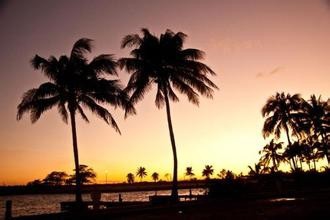 如何用手机拍出单反的效果