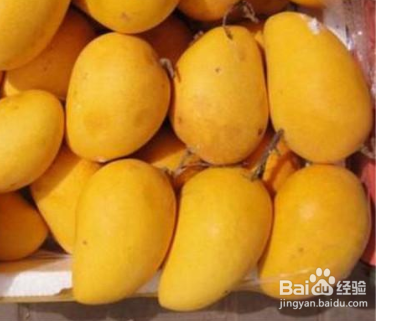 芒果的保存方法