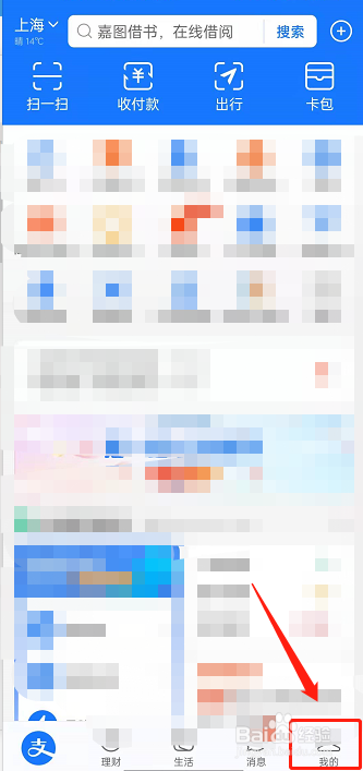 支付宝皮肤中心在哪