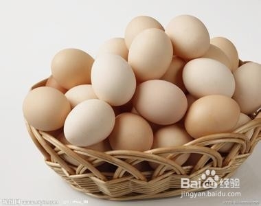 松狮啃木头怎么回事?怎么喂养松狮?