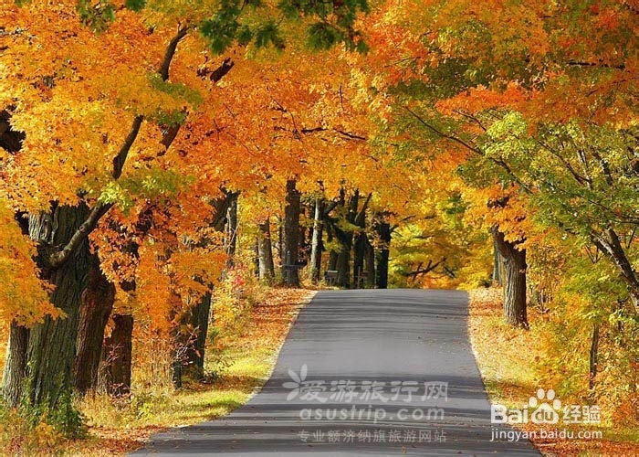 额济纳旅游攻略　