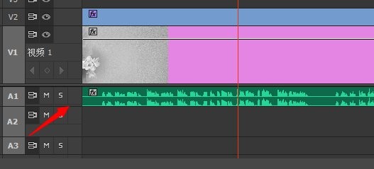 premiere pro 如何显示音频波纹