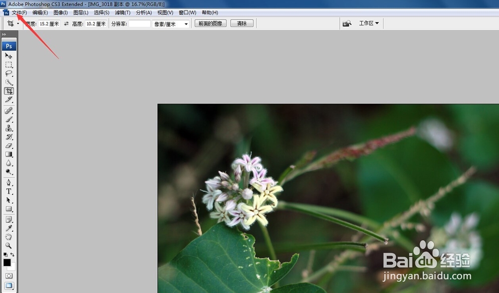 把照片变亮最简单的方法