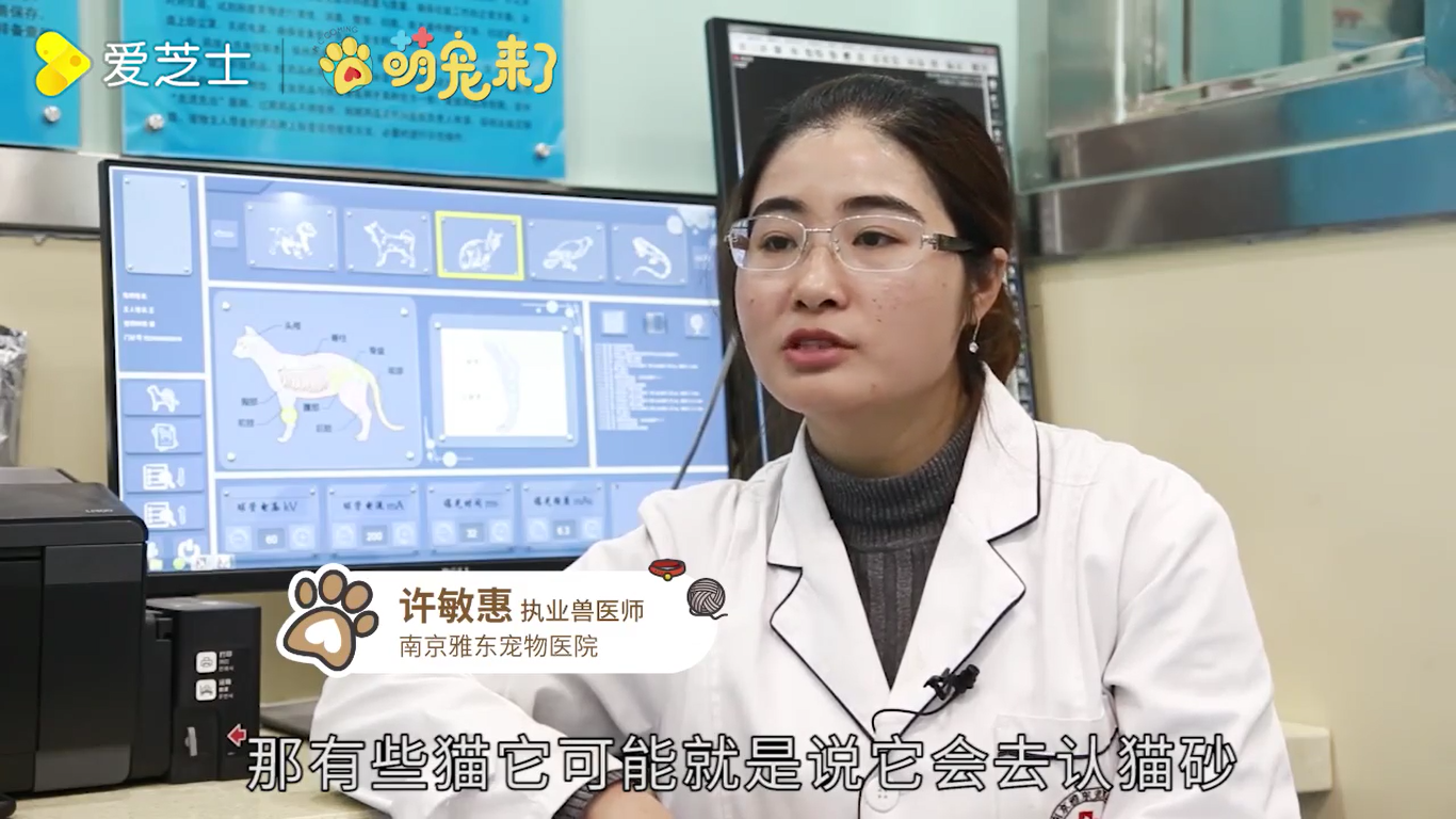 怎么教猫咪用猫砂