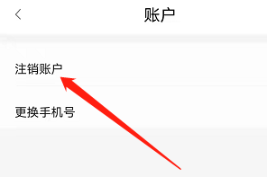 安卓版花鸭借钱如何注销账户