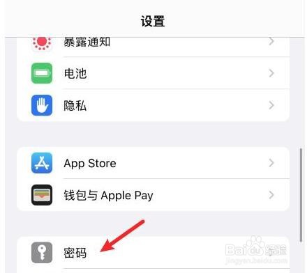 苹果手机自动填充验证码怎么设置
