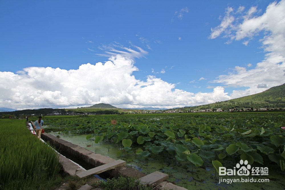 【云南】和顺古镇旅游攻略