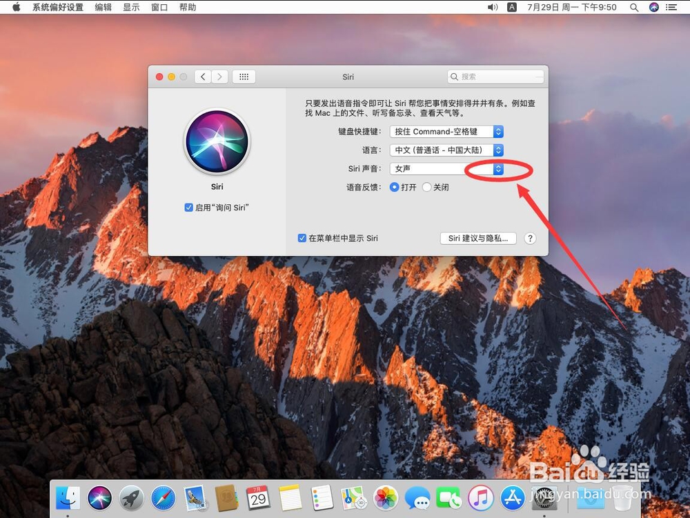 苹果电脑Mac系统如何修改Siri发音男声女声