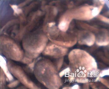 东北名菜-----小鸡炖蘑菇