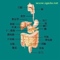 如何区分痔疮茶和痔疮膏的优缺点