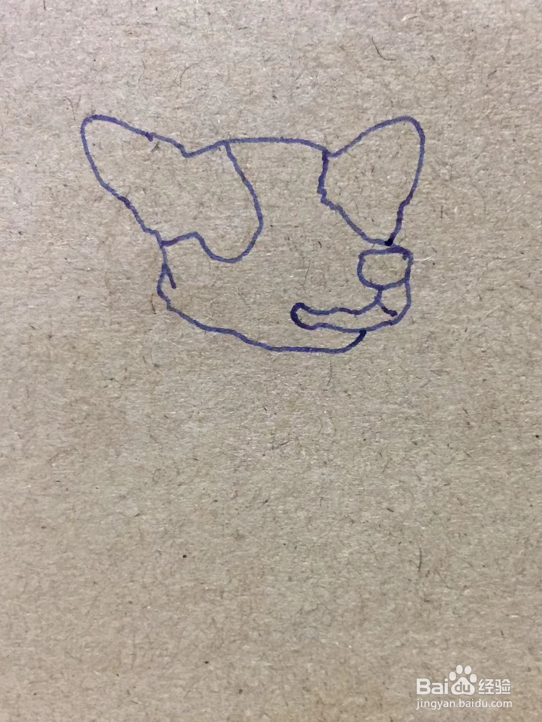 插画教程之圣诞节树下的柯基犬