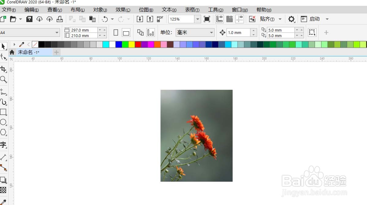 CorelDRAW怎样把图片转为黑白炭笔画
