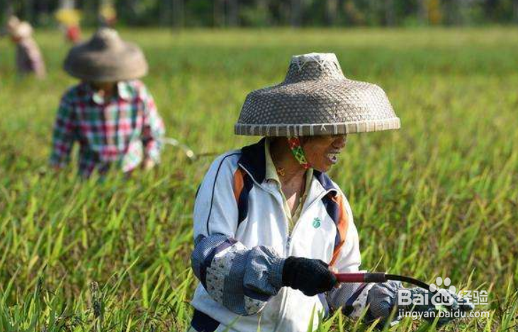 如何使农民稳定取得农产品生产收益