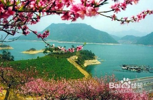 上海到杭州千岛湖二日游