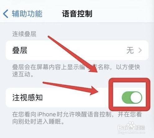 怎么开启苹果语音控制注视感知功能?