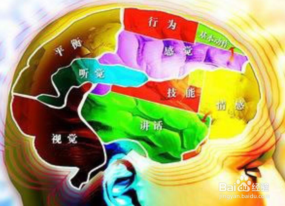 保健从合理使用大脑说起