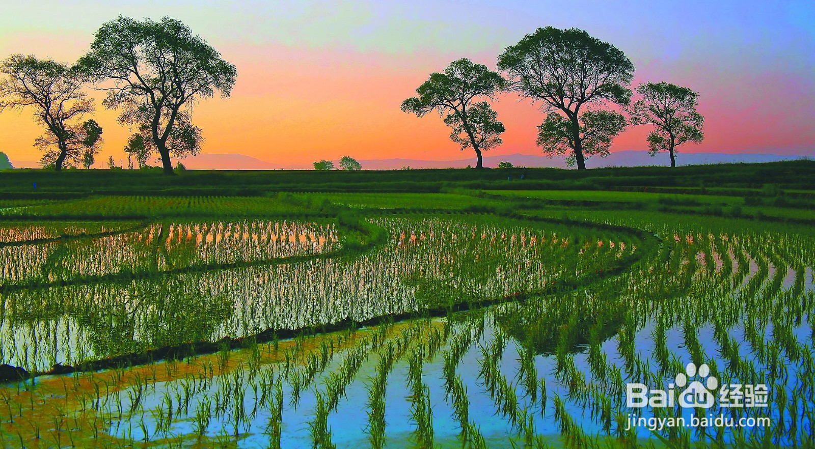 云南哈尼族民俗节日