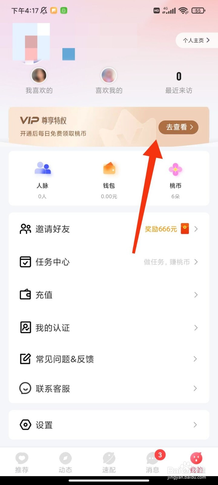 桃伴怎么开启VIP