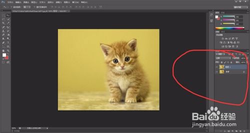 怎么用PS把与背景颜色一致的主体快速抠图出来?