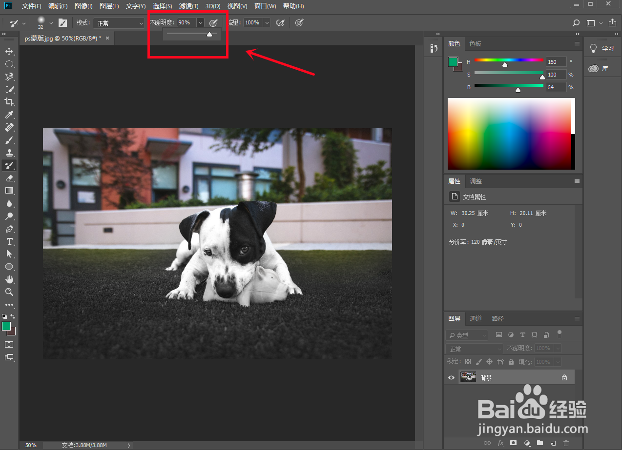ps怎么给局部涂色