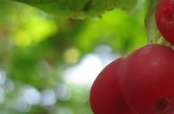 危险无处不在，提高防灾避险意识