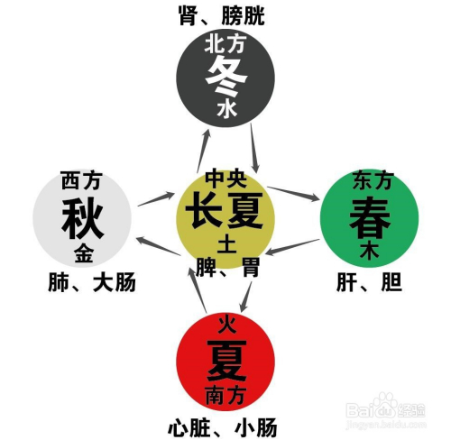 健康/养生 > 保健养生 2 其实鼻炎的发作期是有规律的,一般最常见是