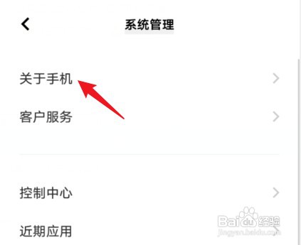 vivo手机开发者模式如何打开