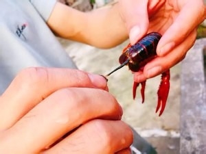 蒜香啤酒焖小龙虾的做法