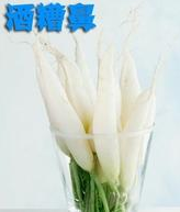 罕见美容偏方， 再懒的女人都能用