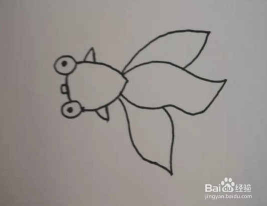 简笔画的小金鱼怎么画