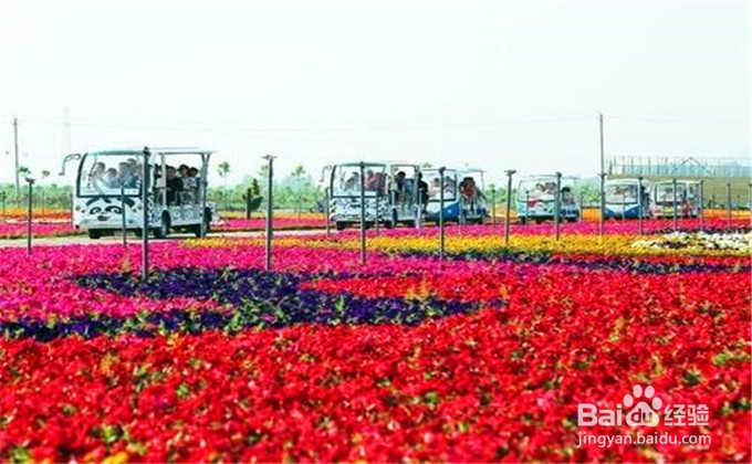 台儿庄旅游攻略