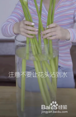 马蹄莲醒花的正确方法和技巧