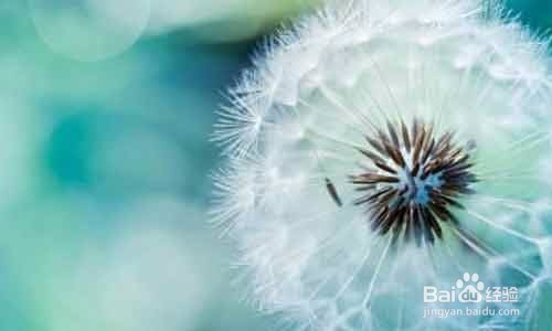 每天喝一杯既能消炎又能清热解毒