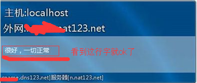 如何使用nat123开我的世界服务器